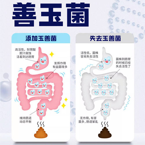 福千年小斑点龟斑点池龟粮星点龟专用粮饲料善玉菌龟粮上浮饲料