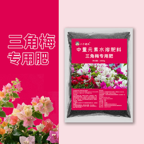 三角梅一喷花芽挤满枝促花中量元素补钙镁花色艳延长花期高钾肥