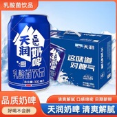 新疆天润奶啤酸奶含乳酸菌牛奶饮料 300ml 12罐整箱
