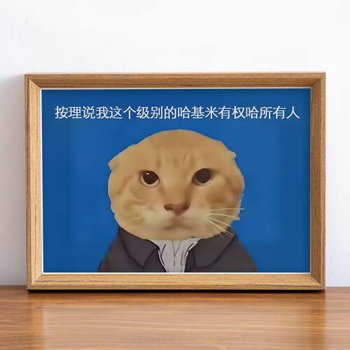 圆头耄耋猫猫meme周边我这个级别的哈基米有权哈你抽象恶搞相框