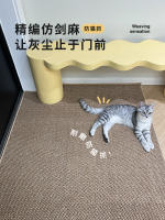 入户地垫2026新款进门门外门垫大门口脚垫可裁剪仿剑麻地毯脚垫 thumbnail 6