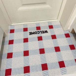 2025新款 复古中古风入户门地垫多巴胺玄关丝圈耐脏防滑脚垫可裁剪