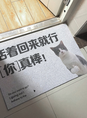 活着回来就行丝圈地垫进门地垫防滑脚垫入户门口脚垫客厅家用pvc