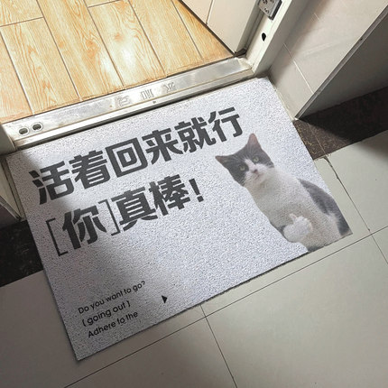 活着回来就行丝圈地垫进门地垫防滑脚垫入户门口脚垫客厅家用pvc