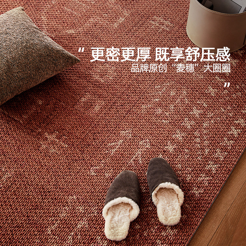 法式复古羊毛进口地毯客厅2025新款免洗可擦床边地垫卧室中古高级
