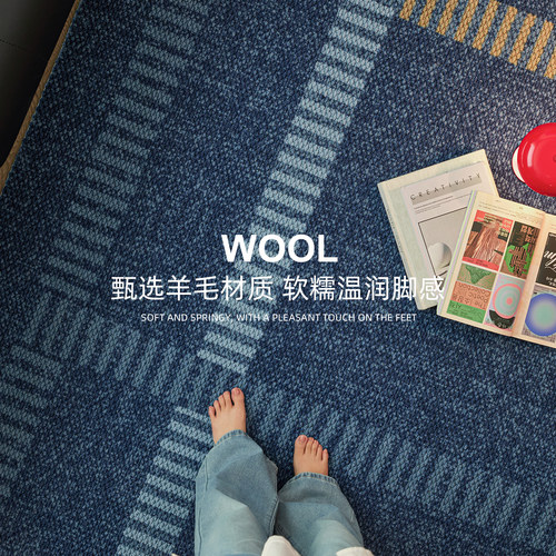 2026新款进口羊毛地毯客厅