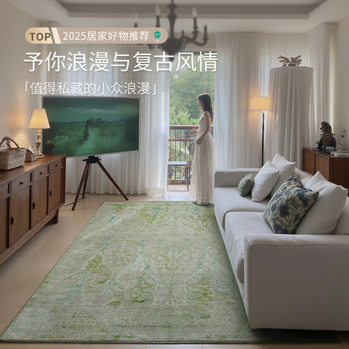 2025新款客厅地毯新中式覆古卧室床边轻奢高级感圈绒免洗可擦地毯