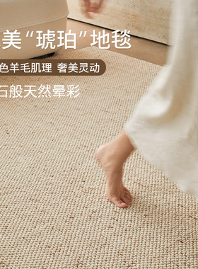 新西兰进口羊毛地毯客厅2026新款法式轻奢高级中古风房间地垫卧室