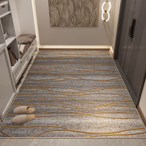 2023新款高级感入户门地垫防滑