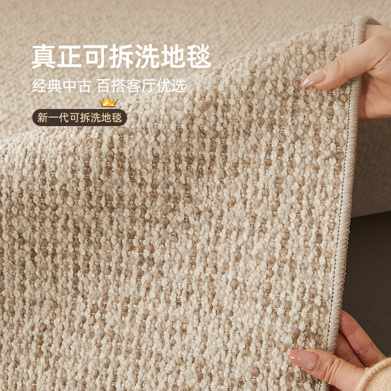2026新款可拆洗双层地毯客厅可机洗简约奶油风防滑高级无甲醛卧室