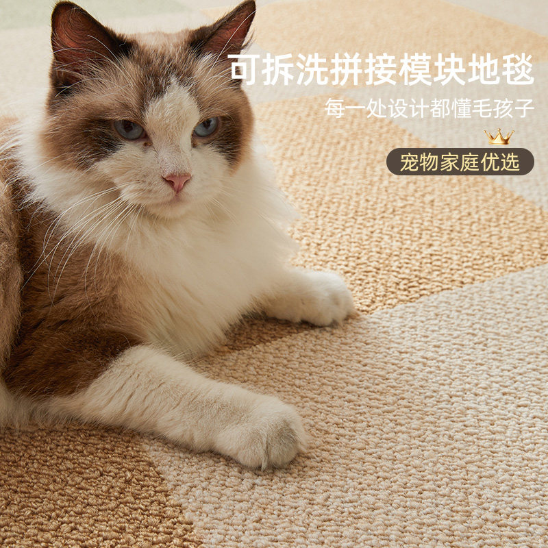 客厅可拆洗拼接地毯沙发儿童宠物地垫防滑2026新款自由拼接地毯