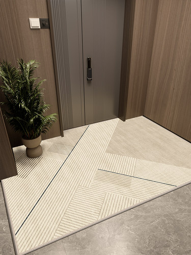 地垫入户门垫子进门玄关地毯客厅门外防滑脚垫家用轻奢高级可裁剪