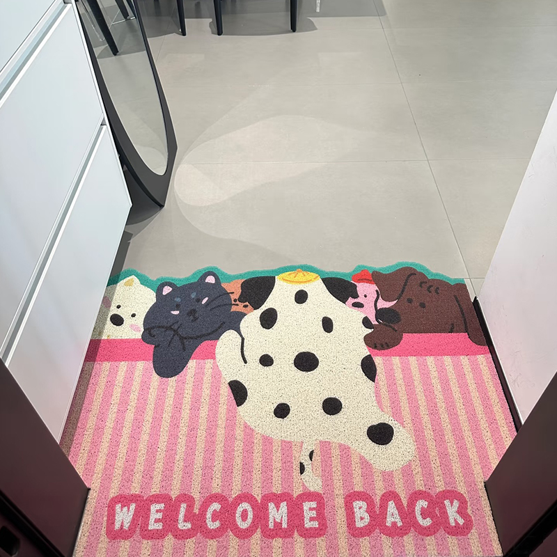2025新款入户门垫卡通丝圈