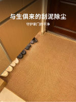 入户地垫2026新款进门门外门垫大门口脚垫可裁剪仿剑麻地毯脚垫 thumbnail 5