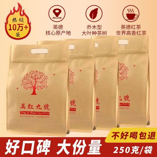 广东特产一级高香正宗茶叶袋装