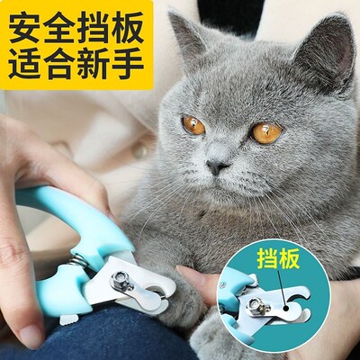 Cat nails cut kitten nails cut dog pet nail scissors