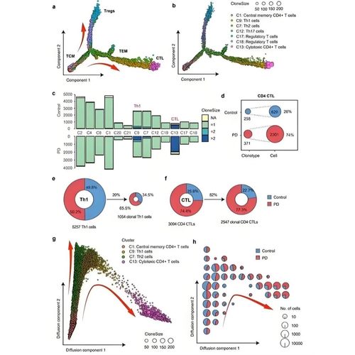 生信分析咨询 单基因测序 中医网络药理学 TCGA/GEO数据库挖掘