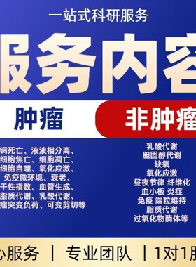 单细胞通讯分析CellChat配体-受体互作网络图CNS级