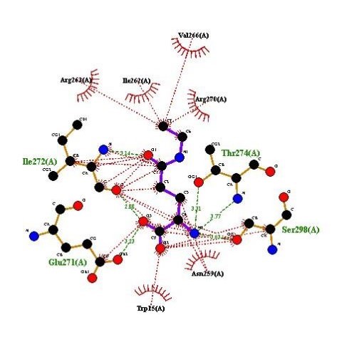 分子对接/服务顾客超900/虚拟筛选/分子动力学--代算/蛋白对接