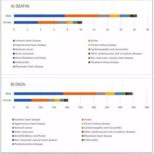 医学生信分析定制服务 SCI/中科院2-7分 TCGA/GEO数据库挖掘分析