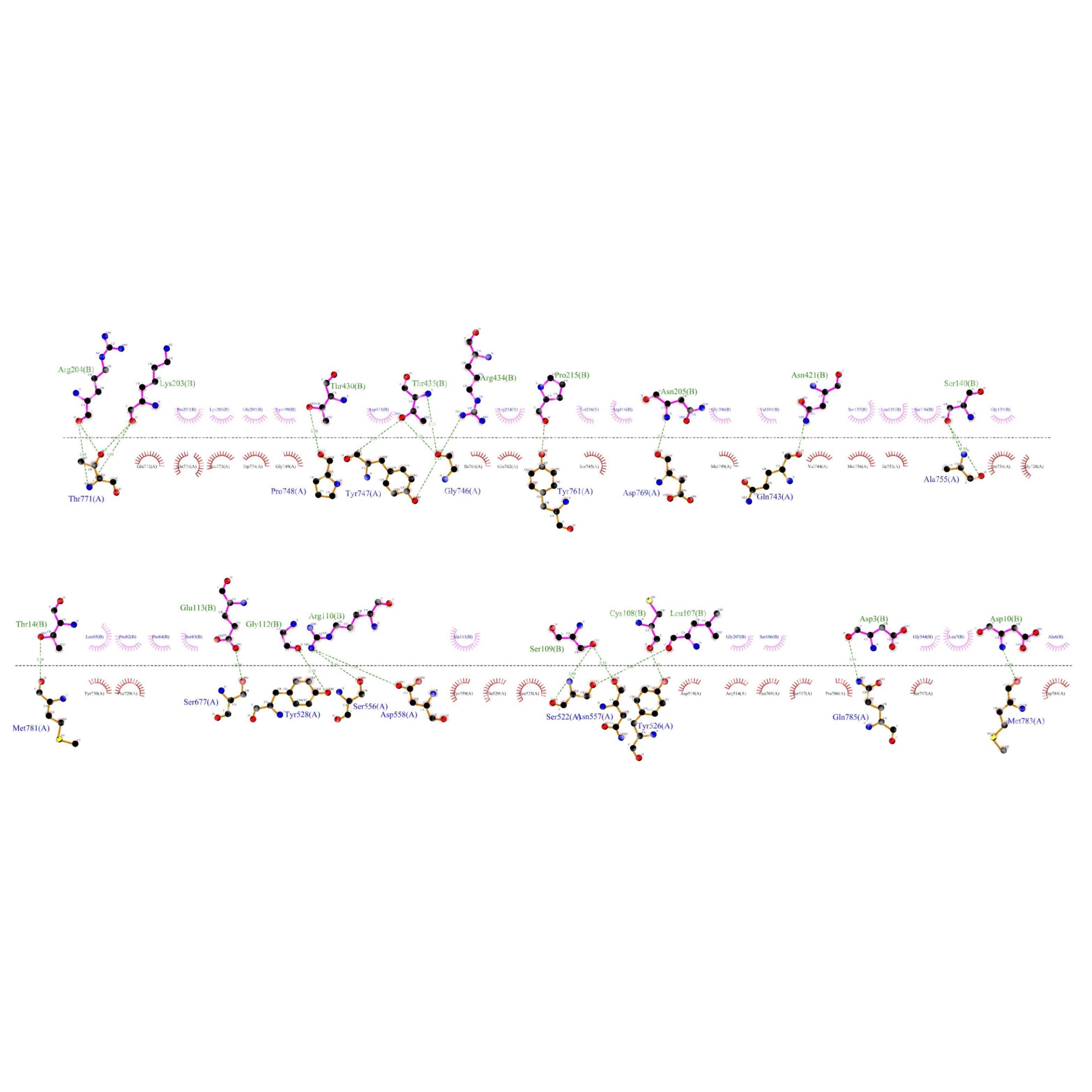 蛋白-蛋白对接 蛋白相互作用模式分析 蛋白对接 多肽蛋白对接