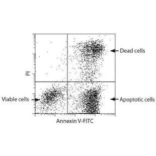 流式数据分析-流式细胞专业优质快速当日达modift,flowjo,FCAP