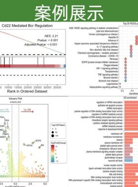 蛋白组学生物信息学分析 亚细胞定位 结构域分析 高级图表