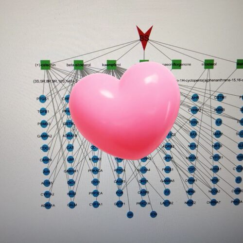 蛋白组学生信分析 功能注释 蛋白互作网络 PPI构建与可视化