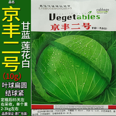 京丰二号耐热甘蓝莲花白扁圆种子