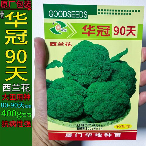 华冠90天10g西兰花种子孑籽青花