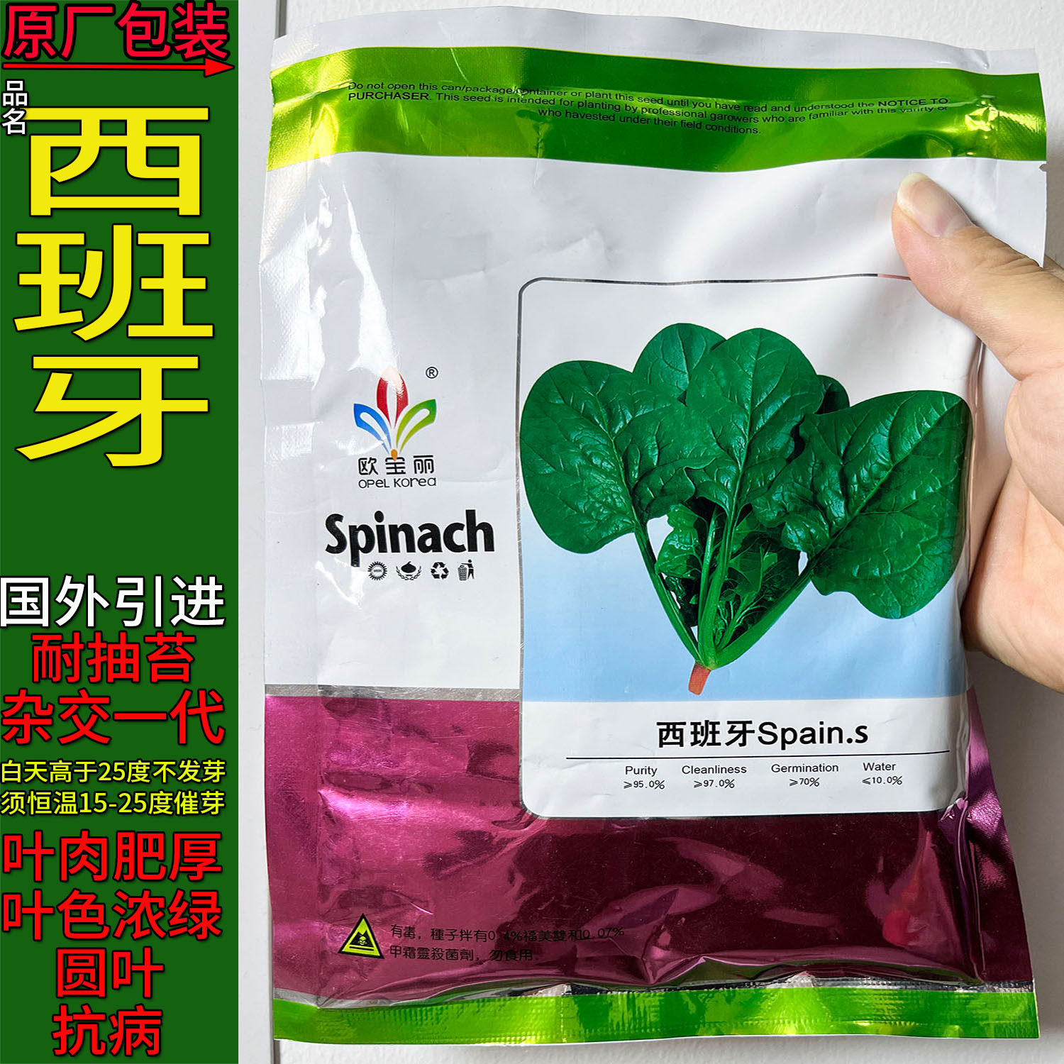 西班牙250g菠菜蔬菜种子孑籽无刺甜菜连根菜大田用种波斯菠薐菠