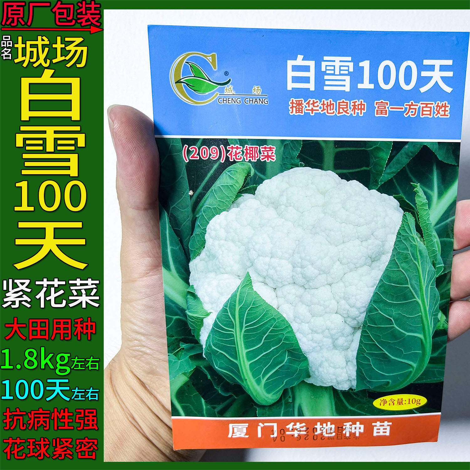 白雪100天有机白紧花菜蔬菜种子