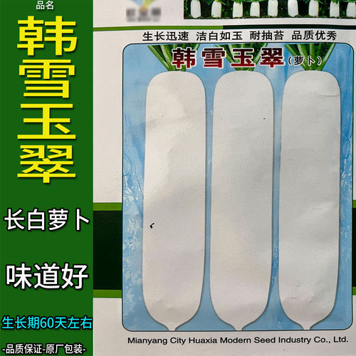 韩雪玉翠白萝卜蔬菜种子孑籽大田