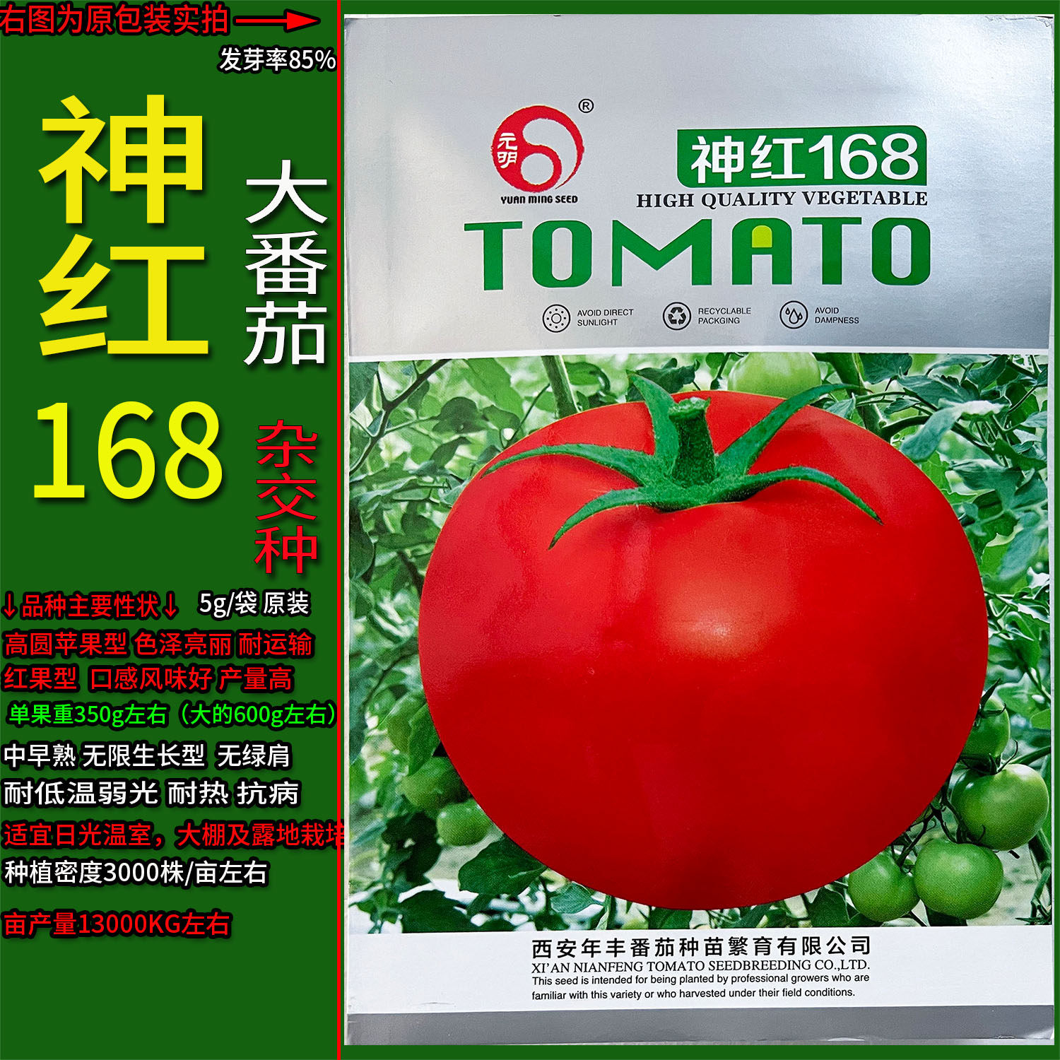 神红168大红西红柿番茄蔬菜种子
