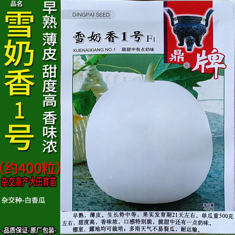 雪奶香1号400粒香瓜甜瓜哈密白兰华莱士瓜水果种子孑籽超甜高产