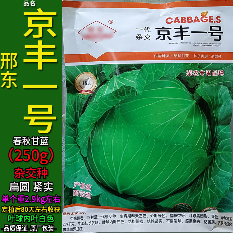 京丰一号250g甘蓝莲花白种子孑扁圆紧籽卷心包菜椰洋圆芥蓝白高丽