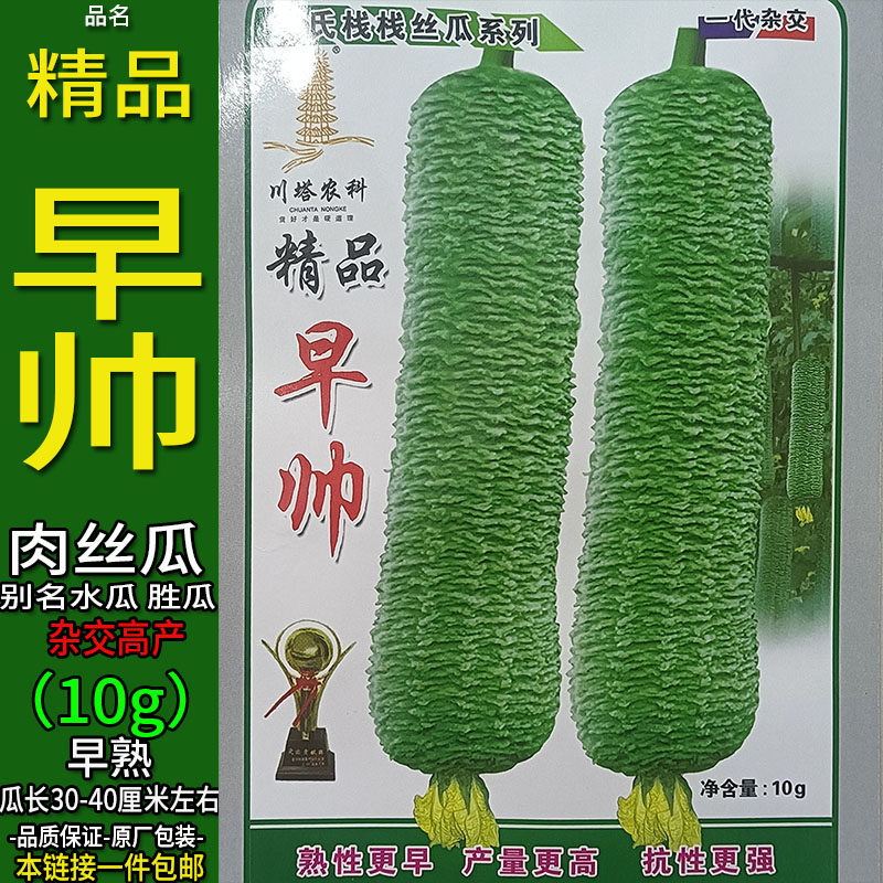 早帅10g大肉香丝瓜种子杂交高产