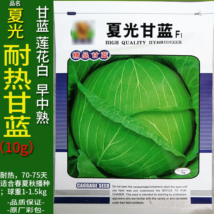 夏光10g耐热甘蓝莲花白卷心包菜椰洋圆芥蓝白菜高丽包心种子籽脆