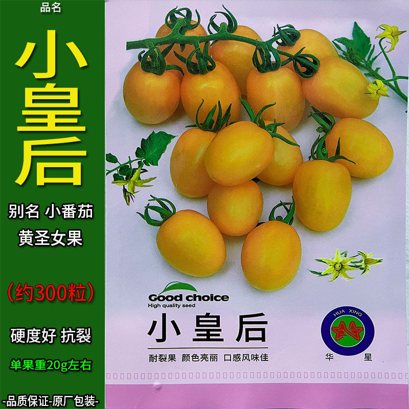 小皇后300粒黄色圣女果樱桃水果西红柿小番茄蔬菜种子孑籽春夏秋