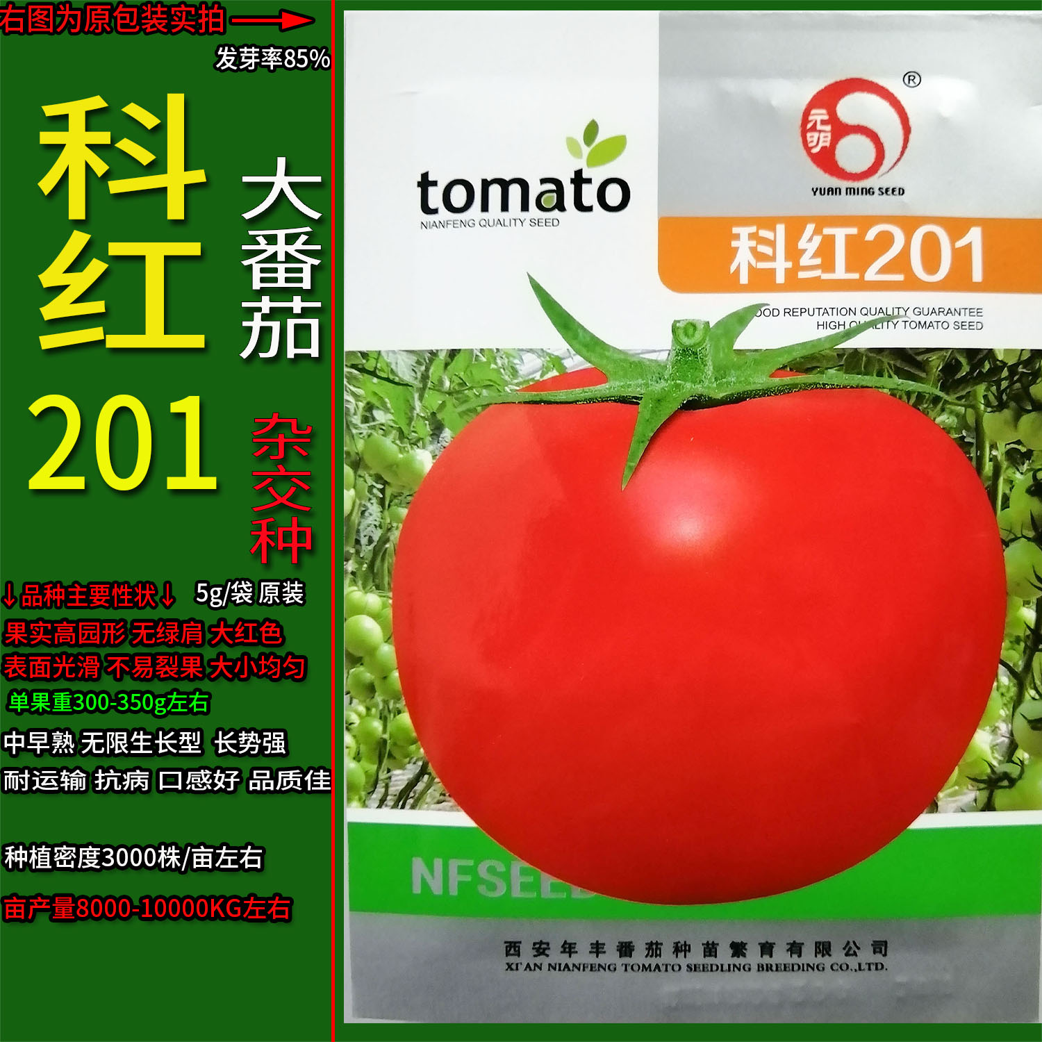 科红201大西红柿番茄蔬菜种子