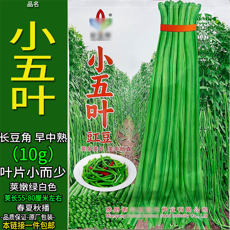 小五叶豇豆10g长豆角豇豆带豆绿白色四季蔬菜种子孑籽脆酸泡菜