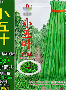小五叶豇豆10g长豆角豇豆带豆绿白色四季蔬菜种子孑籽脆酸泡菜