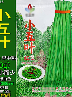 高产小五叶豇长豆角种子孑籽酸菜