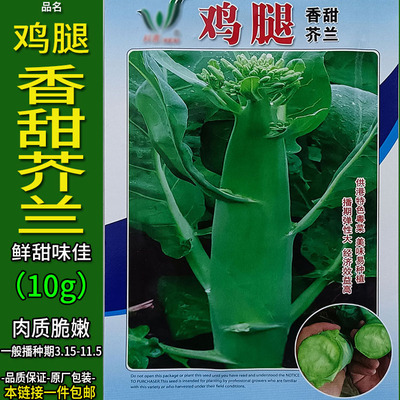 鸡腿香甜芥兰10g蔬菜种子孑籽