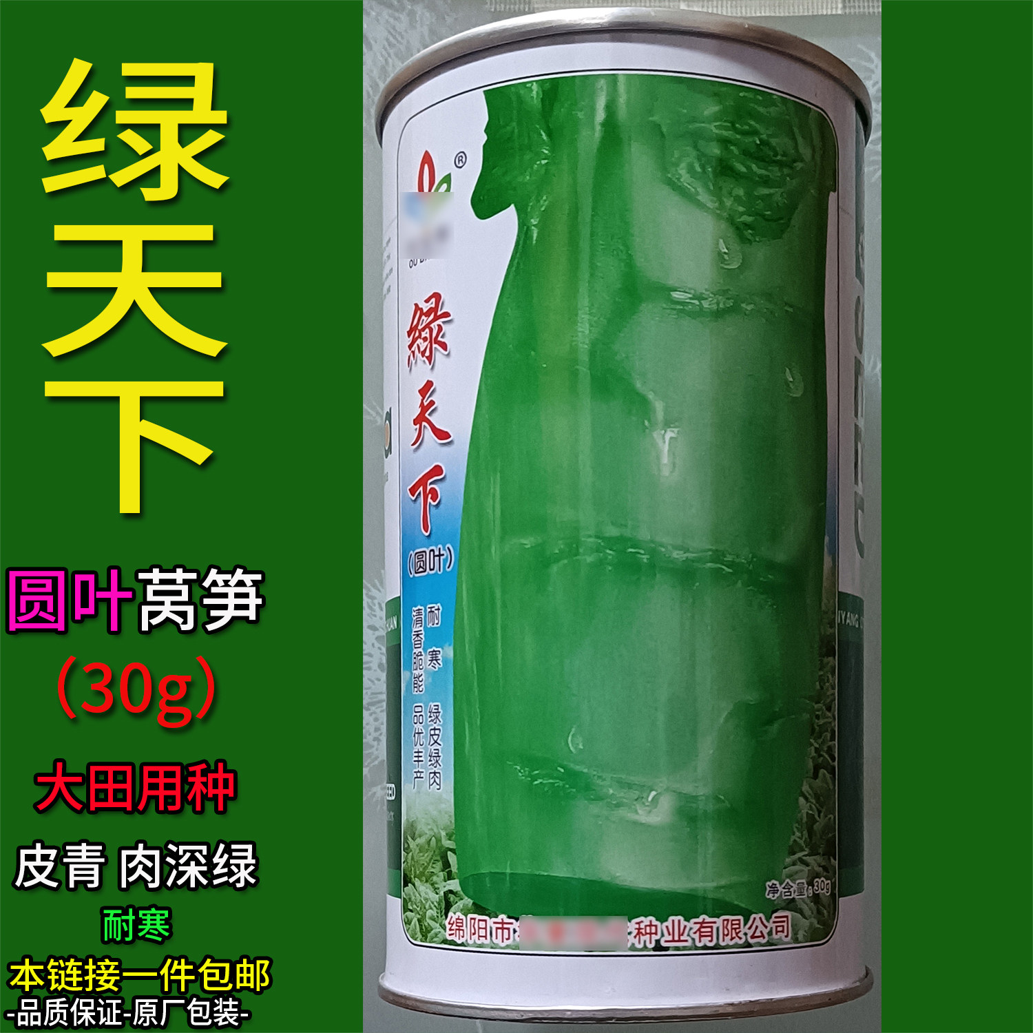 耐寒莴笋种子大田高产圆叶绿肉