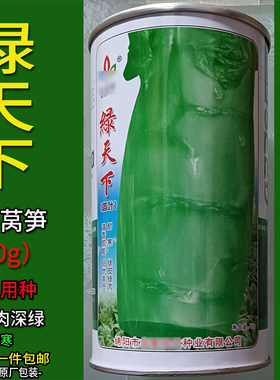 耐寒莴笋种子大田高产圆叶绿肉