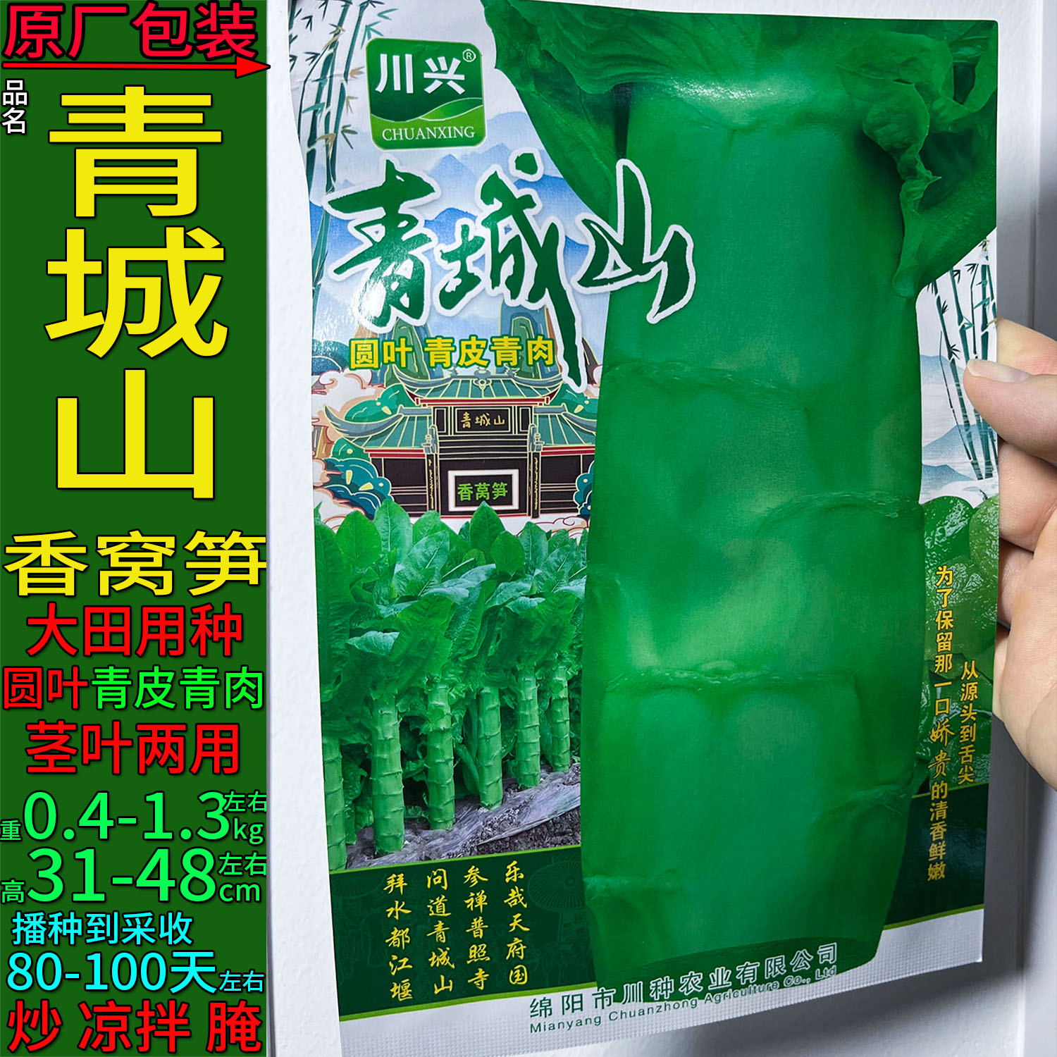 青城山20g耐寒香莴笋蔬菜种子孑籽皮青肉深绿别名青笋茎用莴苣