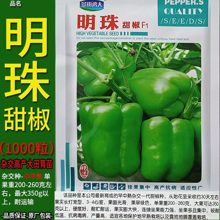 明珠1000粒大甜椒辣椒蔬菜种子籽