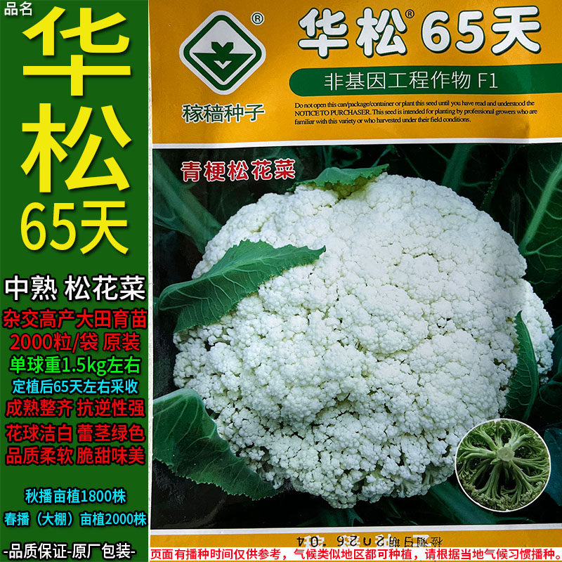 华松65天松花菜高产杂交菜蔬菜种子孑籽白散花菜别名甘蓝椰花洋花