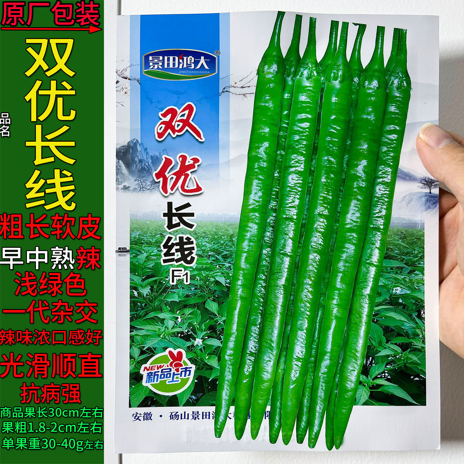 双优长线二金条长辣椒菜种子高产